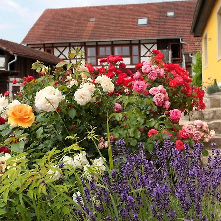 Studioapartment Mit Wohlfuehlcharakter Litzendorf Zewnętrze zdjęcie